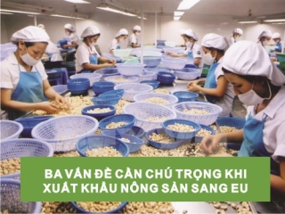 BA VẤN ĐỀ CẦN CHÚ TRỌNG KHI XUẤT KHẨU NÔNG SẢN SANG EU