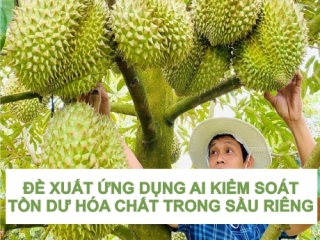 ĐỀ XUẤT ỨNG DỤNG AI KIỂM SOÁT DƯ LƯỢNG HÓA CHẤT TRONG SẦU RIÊNG