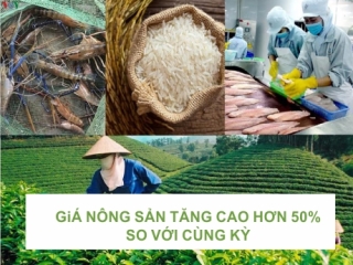 GIÁ NÔNG SẢN TĂNG CAO HƠN 50% SO VỚI CÙNG KỲ