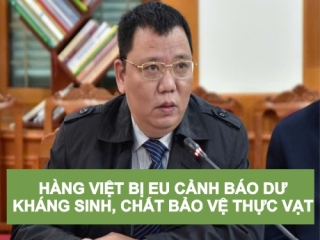NHIỀU HÀNG VIỆT BỊ EU CẢNH BÁO DƯ KHÁNG SINH, THUỐC BẢO VỆ THỰC VẬT
