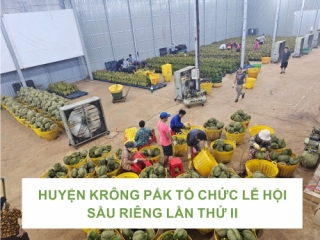 HUYỆN KRÔNG PẮK  TỔ CHỨC LỄ HỘI SẦU RIÊNG LẦN THỨ II