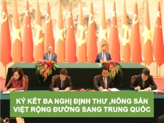KÝ KẾT BA NGHỊ ĐỊNH THƯ, NÔNG SẢN VIỆT RỘNG ĐƯỜNG SANG TRUNG QUỐC