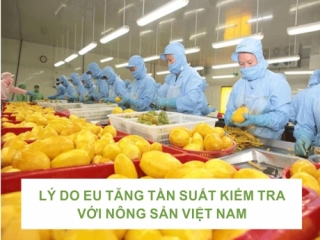 LÝ DO EU TĂNG TẦN SUẤT KIỂM TRA VỚI NÔNG SẢN VIỆT NAM