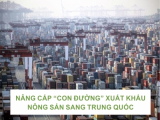NÂNG CẤP "CON ĐƯỜNG" XUẤT KHẨU NÔNG SẢN SANG TRUNG QUỐC