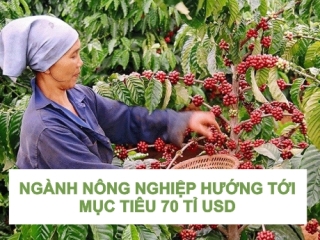 XUẤT KHẨU CÀ PHÊ, GỖ, THỦY SẢN TĂNG MẠNH, NGÀNH NÔNG NGHIỆP HƯỚNG TỚI MỤC TIÊU 70 TỈ USD