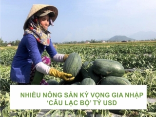 NHIỀU NÔNG SẢN KỲ VỌNG GIA NHẬP 