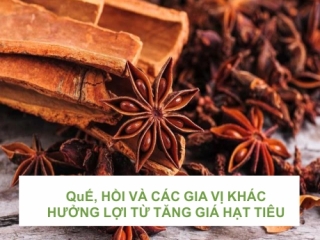 QUẾ, HỒI VÀ CÁC GIA VỊ KHÁC HƯỞNG LỢI TỪ VIỆC TĂNG GIÁ HẠT TIÊU