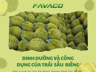 DINH DƯỠNG VÀ CÔNG DỤNG CỦA TRÁI SẦU RIÊNG