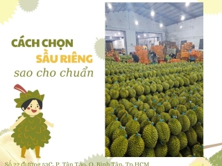 CÁCH CHỌN SẦU RIÊNG SAO CHO CHUẨN