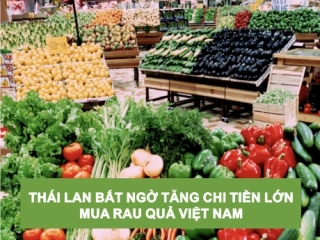 THÁI LAN BẤT NGỜ TĂNG CHI TIỀN LỚN MUA RAU QUẢ VIÊT NAM