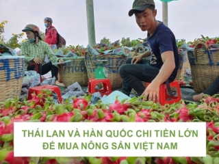 THÁI LAN VÀ HÀN QUỐC CHI TIỀN LỚN ĐỂ MUA NÔNG SẢN VIỆT NAM