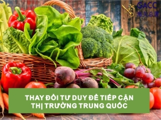 THAY ĐỔI TƯ DUY ĐỂ TIẾP CẬN THỊ TRƯỜNG TRUNG QUỐC 