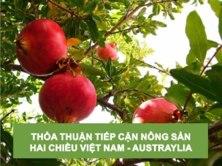 THỎA THUẬN TIẾP CẬN THỊ TRƯỜNG NÔNG SẢN HAI CHIỀU VIỆT NAM - AUSTRAYLIA 