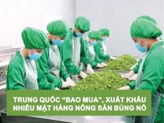 TRUNG QUỐC " BAO MUA ", XUẤT KHẨU NHIỀU MẶT HÀNG NÔNG SẢN BÙNG NỔ
