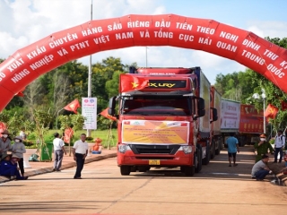 Liên tục tin vui xuất khẩu sang Trung Quốc, thị trường này đã bớt khó?