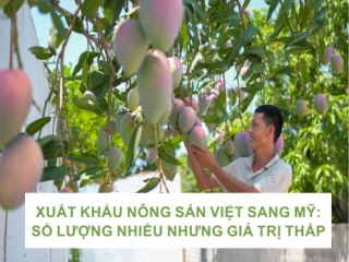 XUẤT KHẨU NÔNG SẢN VIỆT SANG MỸ: SỐ LƯỢNG NHIỀU NHƯNG GIÁ TRỊ THẤP
