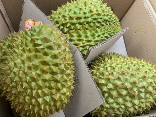 6 tháng đầu năm, Trung Quốc chi 835 triệu USD mua sầu riêng Việt Nam