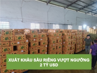 XUẤT KHẨU SẦU RIÊNG VƯỢT NGƯỠNG 2 TỶ USD