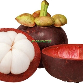 MĂNG CỤT