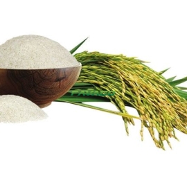 GẠO