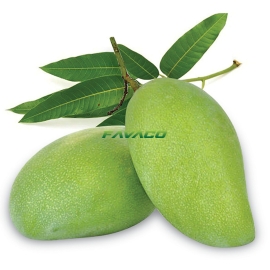 XOÀI