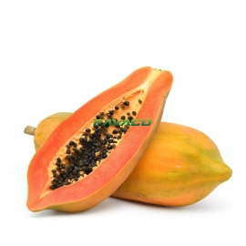 ĐU ĐỦ
