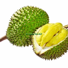 SẦU RIÊNG