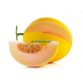 DƯA LƯỚI