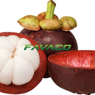 MĂNG CỤT