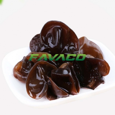 MỘC NHĨ ( NẤM MÈO )