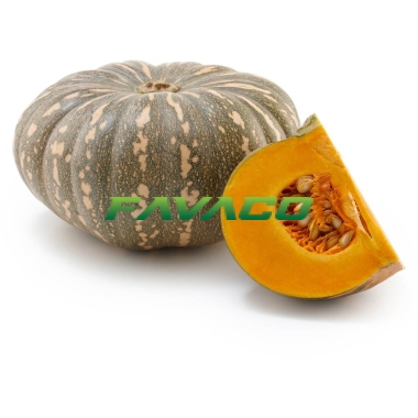 BÍ ĐỎ ( BÍ NGÔ )