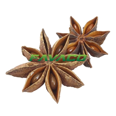 HỒI HƯƠNG
