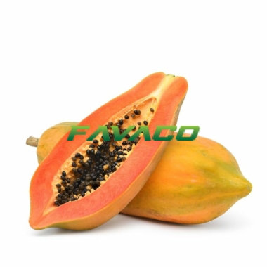 ĐU ĐỦ