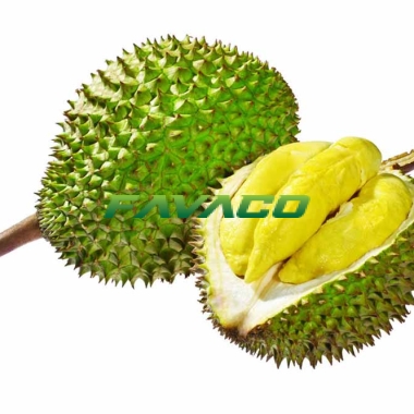 SẦU RIÊNG
